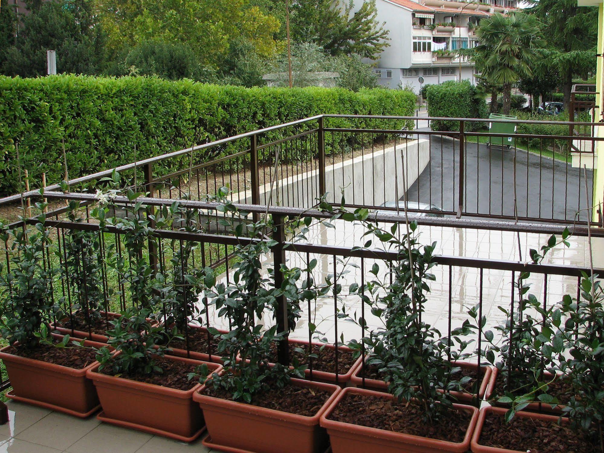 Garni Hotel Keltika Izola Dış mekan fotoğraf
